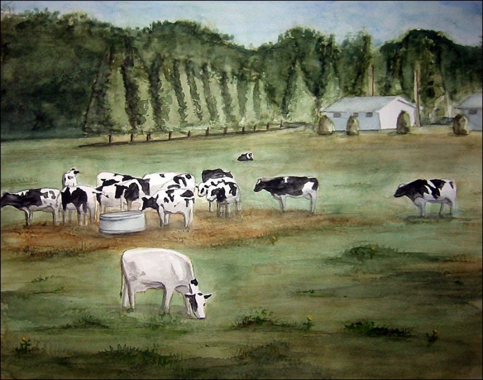 Cows in Leelanau County
