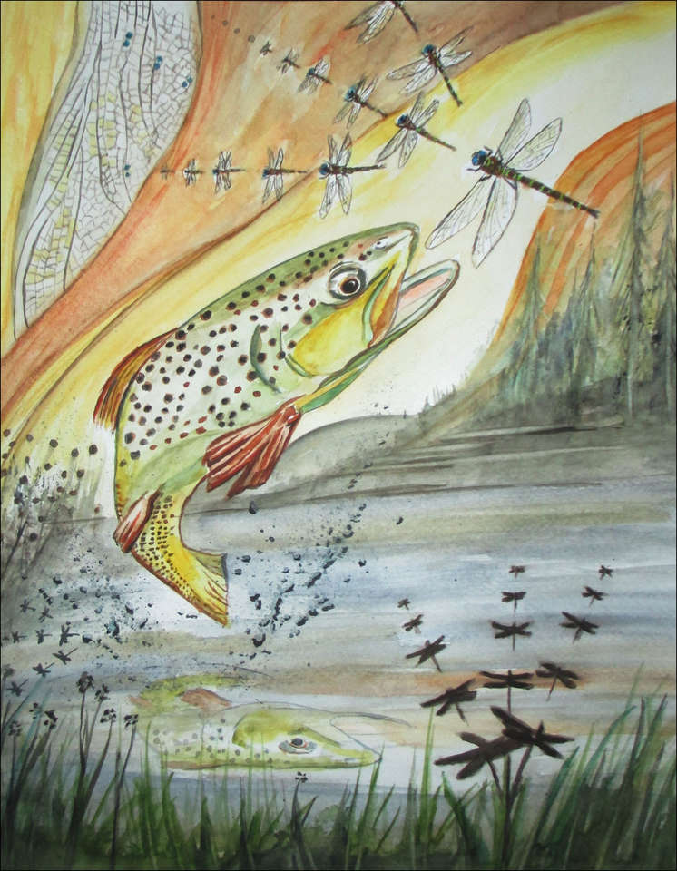 The Trout Leaps for the Dragonfly