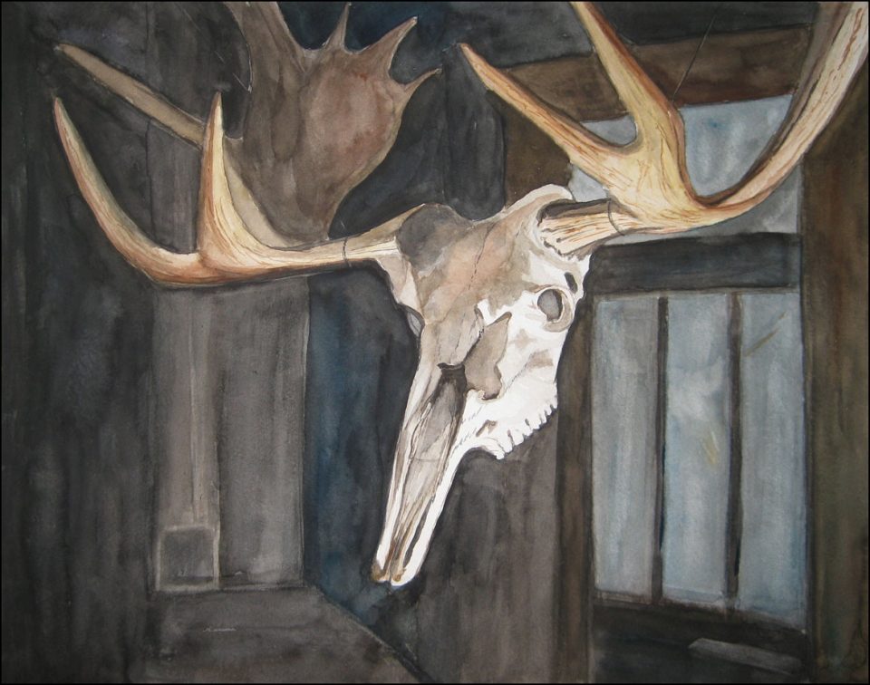 Moose Skull in the Garage