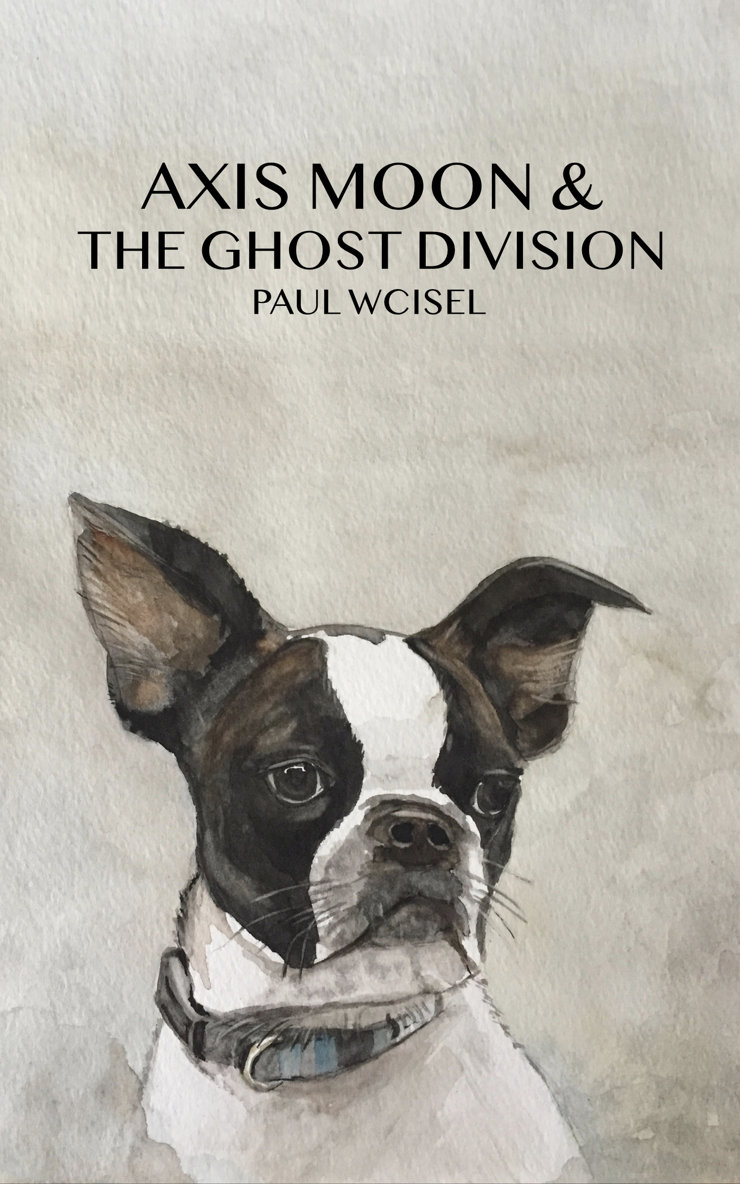 Axis Moon & The Ghost Division - book cover