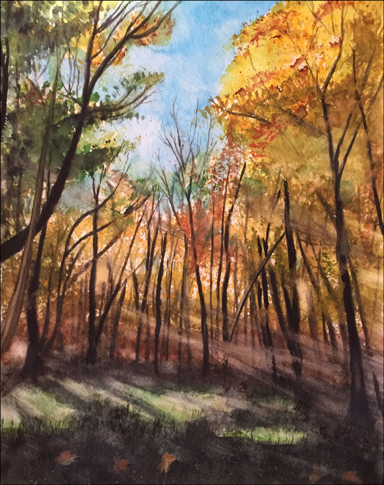 Light Through the Trees