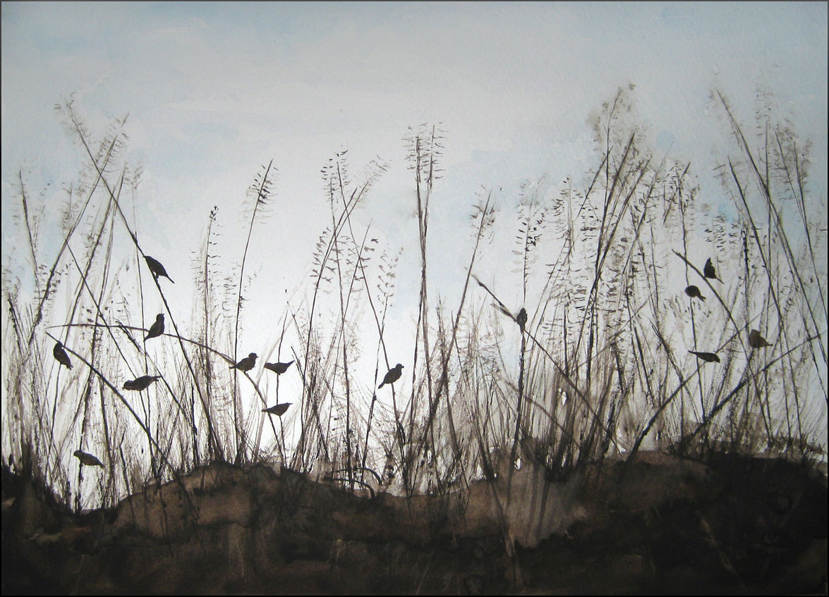 Birds in Dunegrass