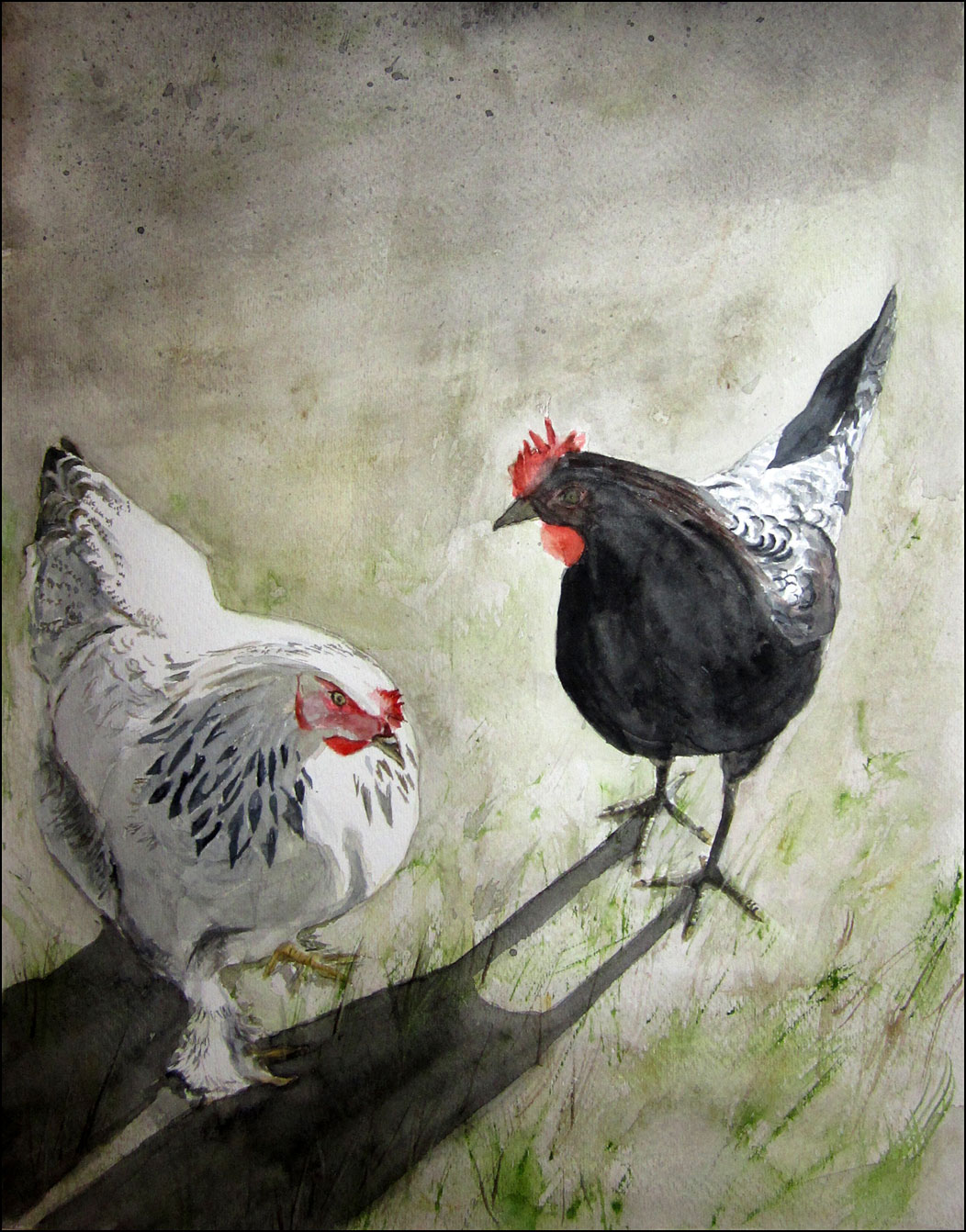 Chickens