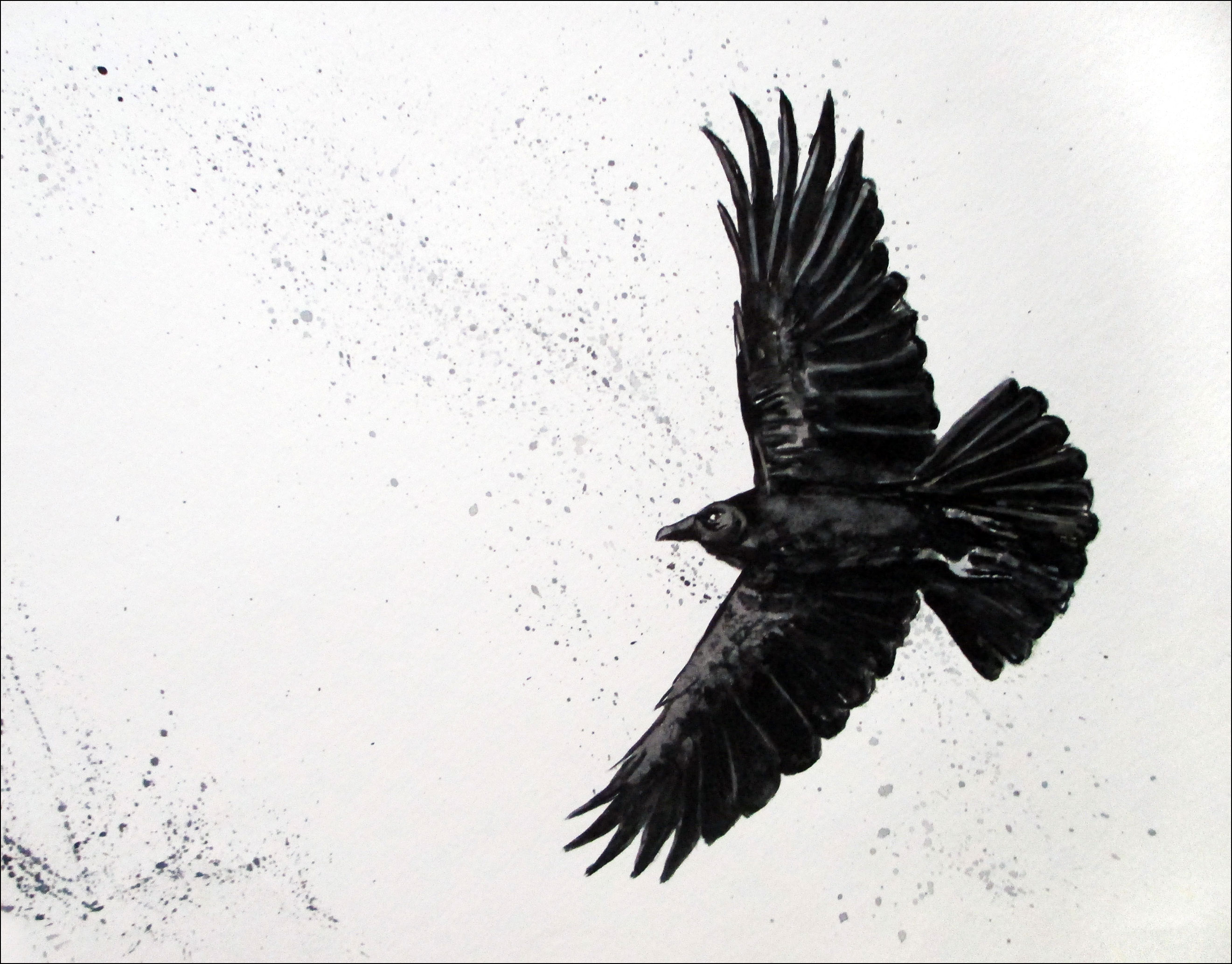 Crow'