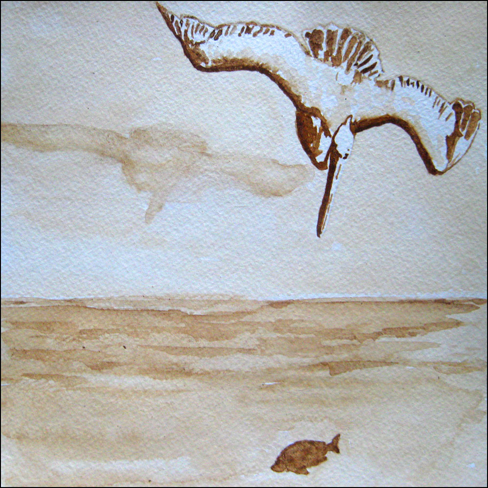 Diving Pelican