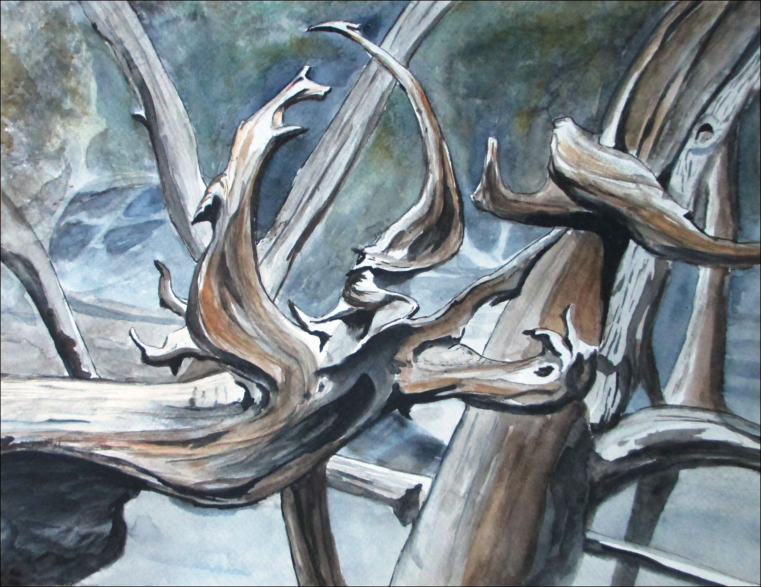 Driftwood Phoenix