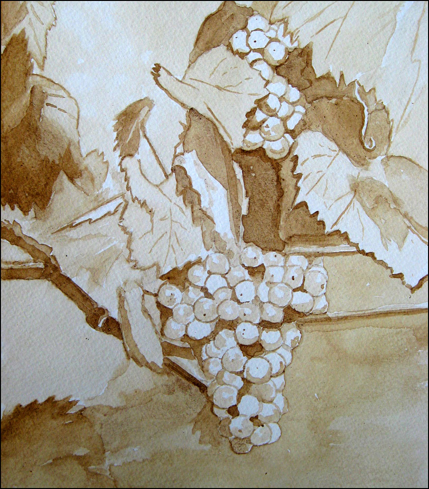 Riesling Grapes, Crain Hill Road