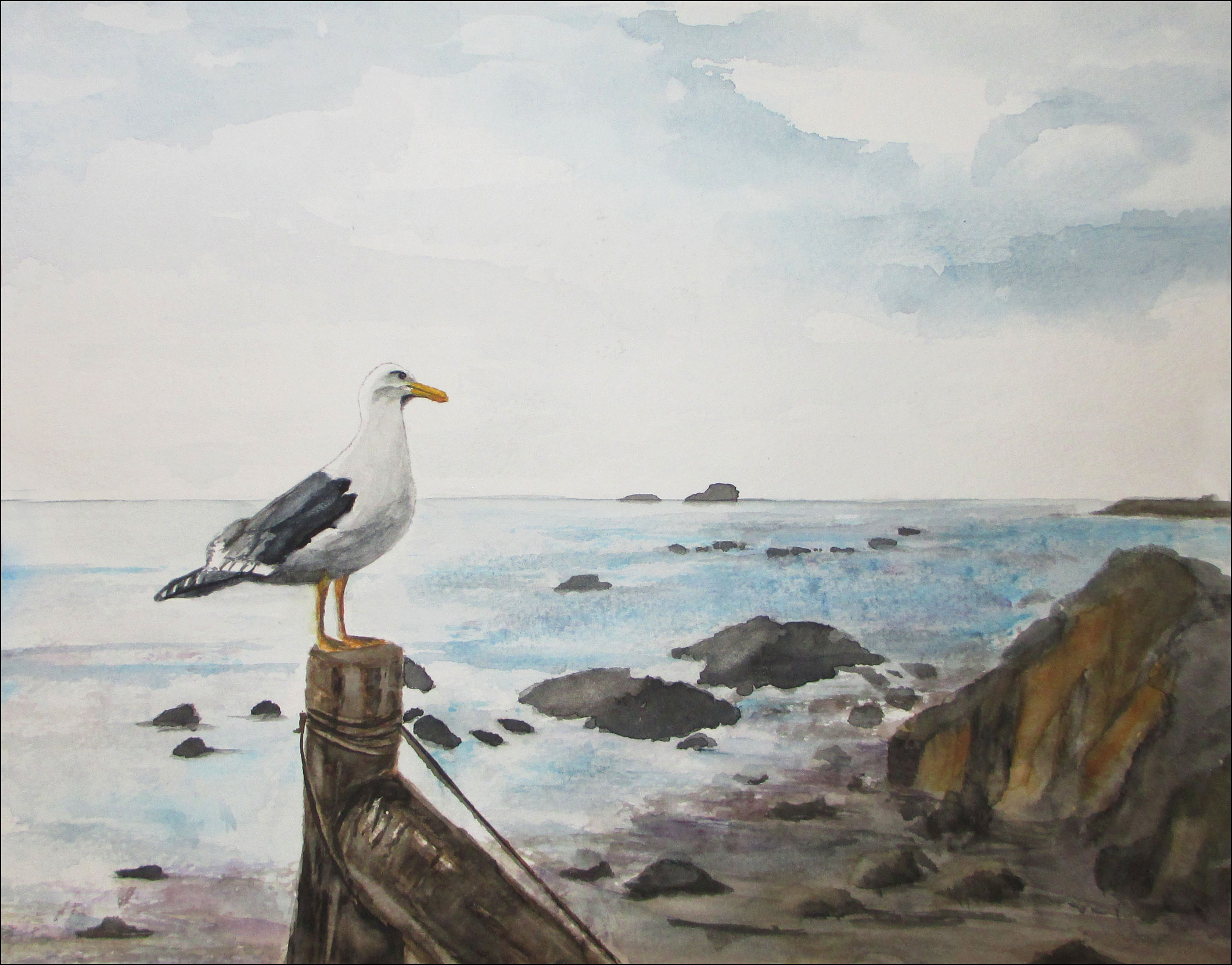 Gull