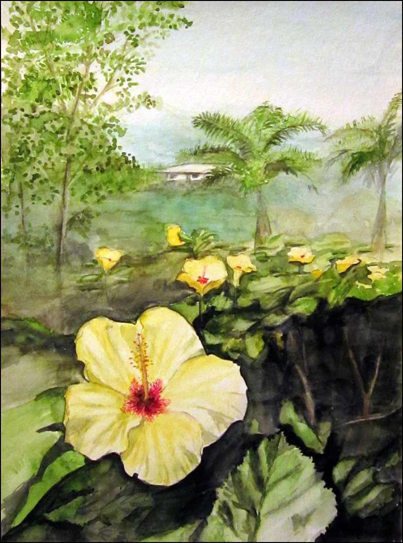 House in Kohala
