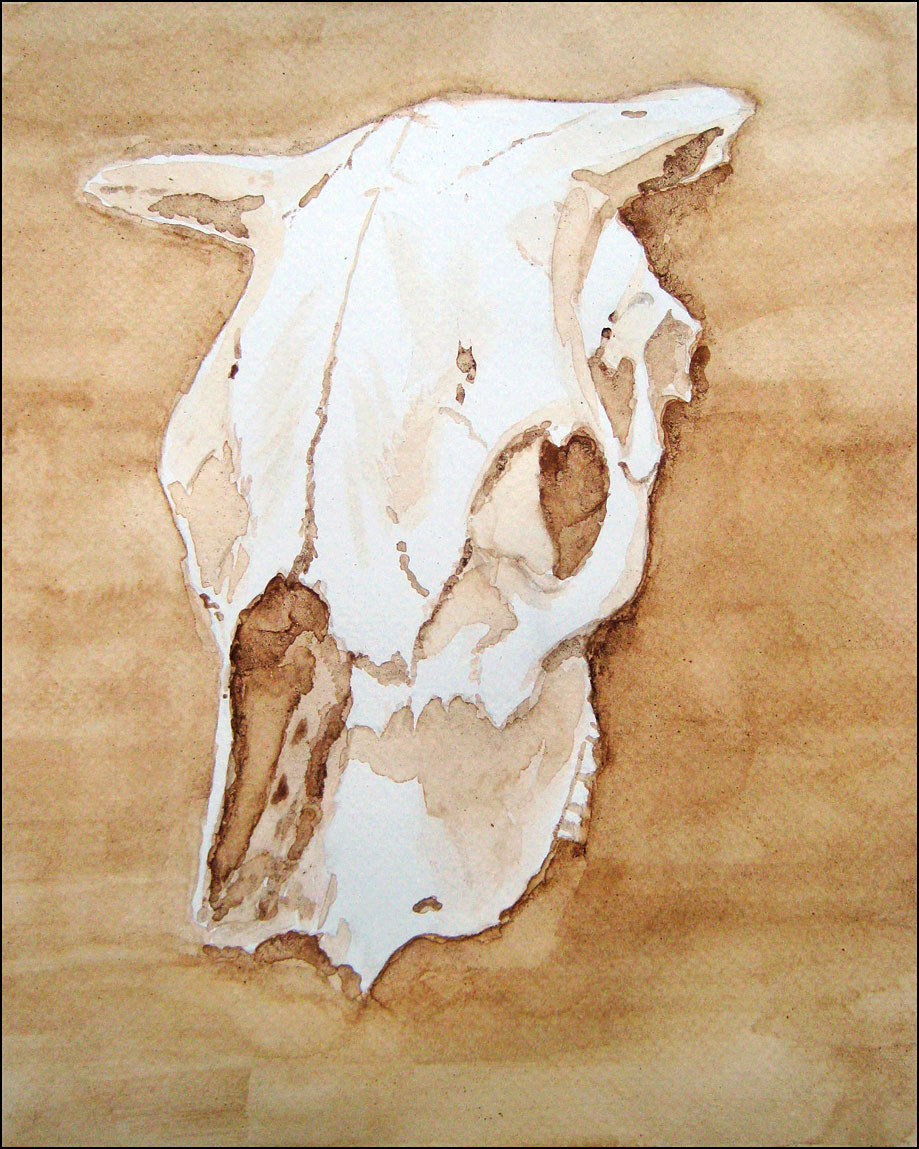 Skull